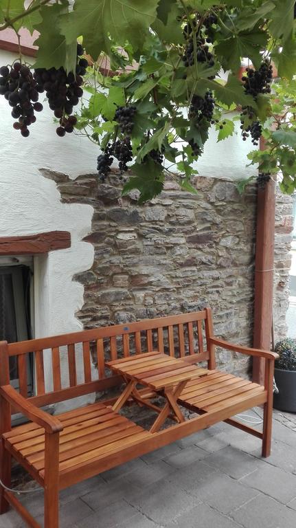 Haus Mosel-Oase Apartment Cochem Luaran gambar